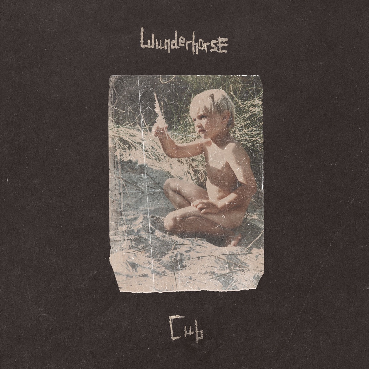 PÉPITE : WUNDERHORSE